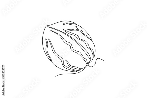 Single continuous line drawing of whole healthy organic walnut food for plantation logo identity. Fresh nutshell concept for healthy seed icon. Dynamic one line draw graphic design vector illustration