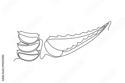 Single continuous line drawing of healthy organic green aloe vera for cosmetic logo identity. Fresh tropical succulent plant concept agricultural icon. One line draw graphic design vector illustration