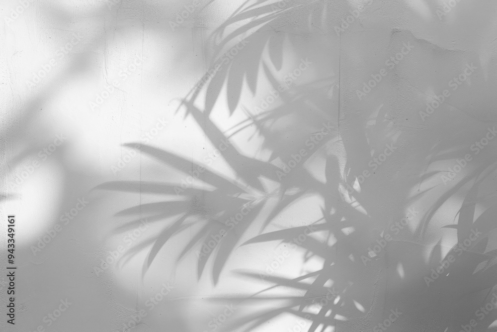 PNG  Soft plant shadows on wall
