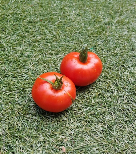 tomato on green grass
