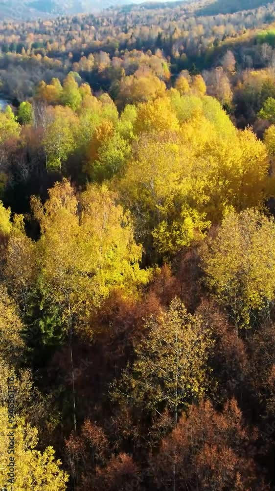 Aerial view of mountain during autumn Aerial view of mountain during autumn