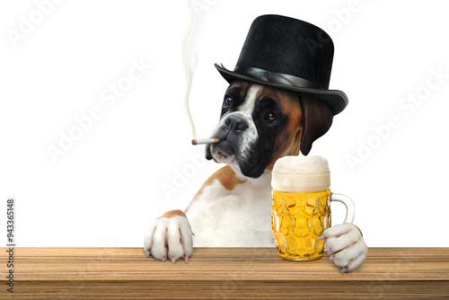 Fototapeta Naklejka Na Ścianę i Meble -  Boxer 401
