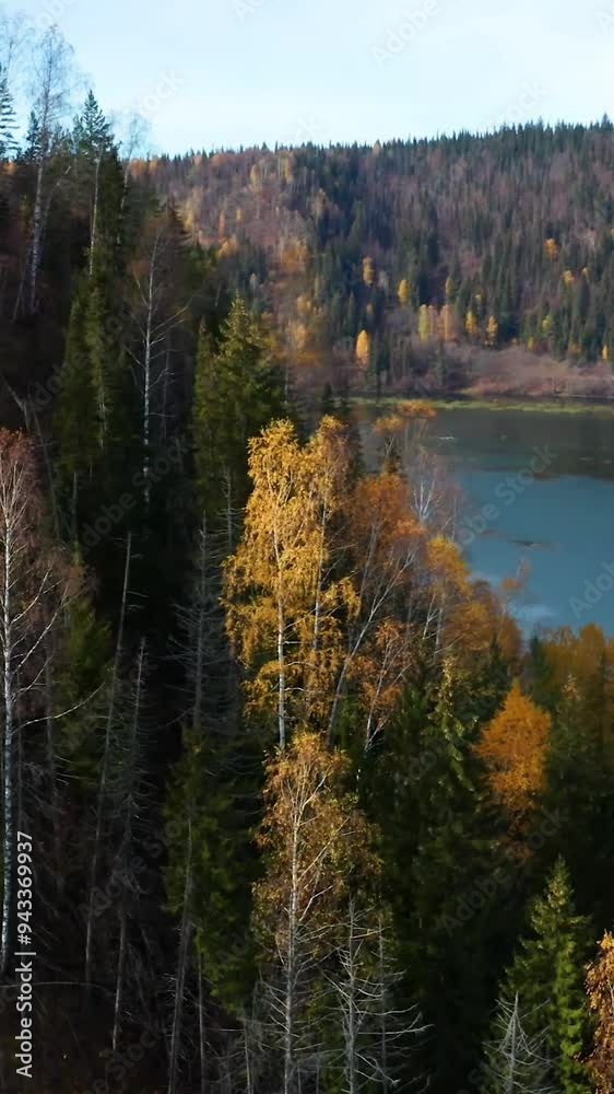 Aerial view of mountain during autumn