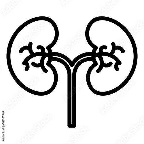 Kidney icon