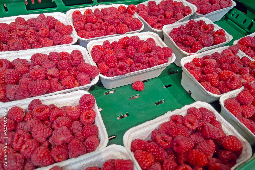 Fresh Raspberry Fruit in Eco-Friendly Containers at Farmers Market - Perfect for Summer Recipes and Healthy Snacking Fresh Raspberry Fruit in Eco-Friendly Containers at Farmers Market - Perfect for Summer Recipes and Healthy Snacking