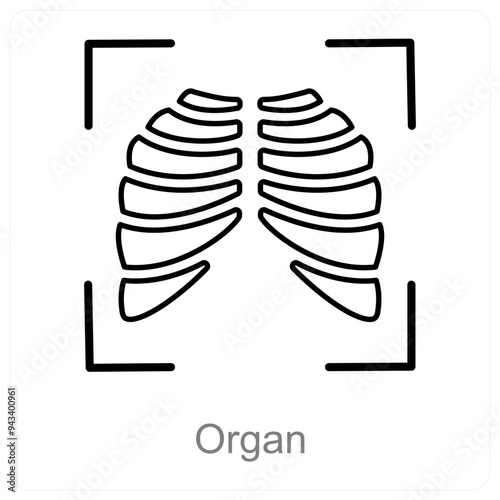 Organ