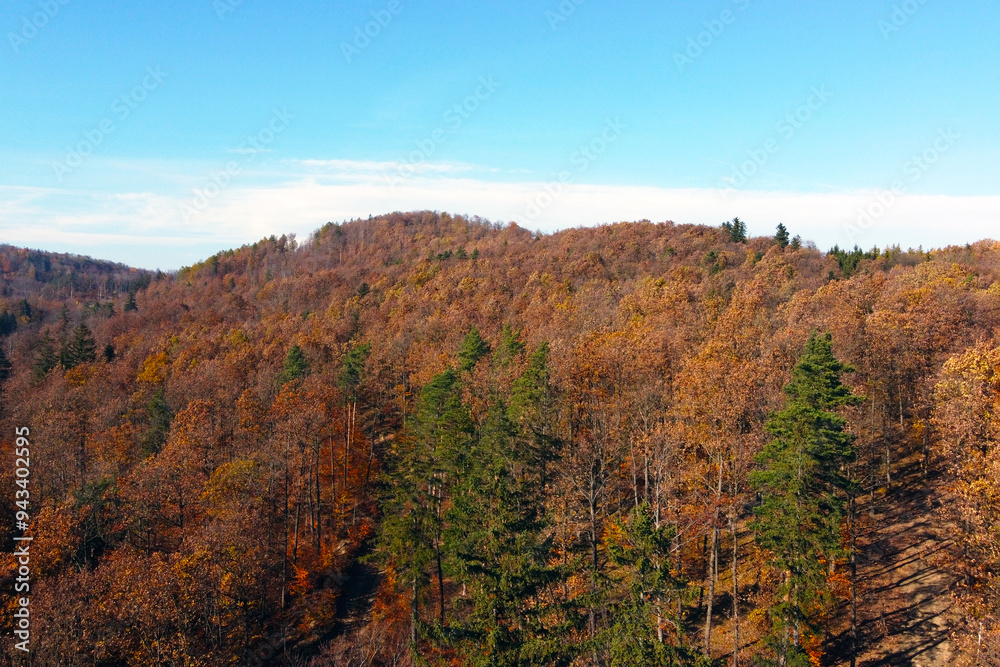 Scenic Autumn Forest Landscape: Aerial View of Vibrant Foliage on Rolling Hills Scenic Autumn Forest Landscape: Aerial View of Vibrant Foliage on Rolling Hills
