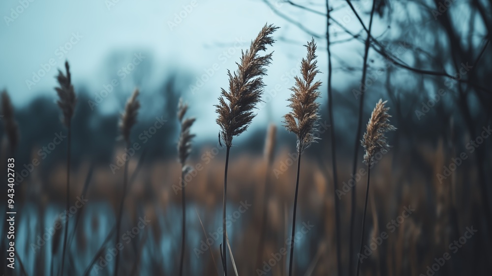 Tall grass sways gently in the breeze near a tranquil water body at dusk during autumn foliage season Tall grass sways gently in the breeze near a tranquil water body at dusk during autumn foliage season