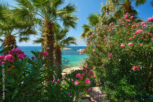Fototapeta Naklejka Na Ścianę i Meble -  Beautiful garden with a blue lagoon at the background in Kusadasi, Turkey