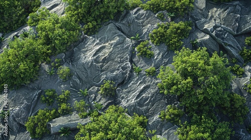 Rocky surface with lush green trees