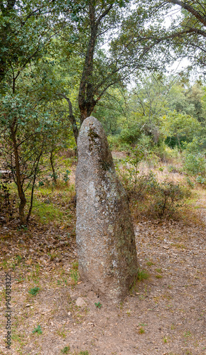 megalithic menhirs arise in the nuragic village of biru and concas photo