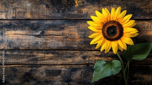 Top view of a single sunflower on a rustic wooden background