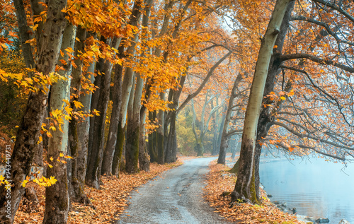autumn in the dreamy forest  of Kastoria Greece 