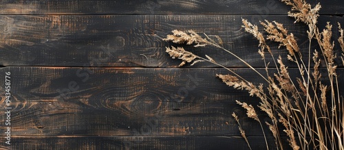 A top down view of Reed warbler among Molinia and Calamagrostis dry grasses against a black or wooden backdrop with space for text or image. Creative banner. Copyspace image photo