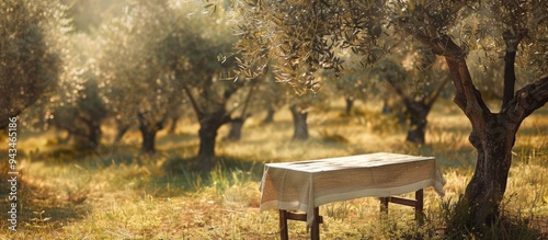 A rustic table with a tablecloth set against an olive tree grove provides a serene copy space image