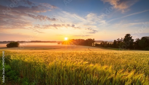 beautiful summer sunrise over fields