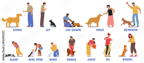 Dog Training Commands Being Demonstrated By Handlers With Their Dogs. Commands Include Stand, Sit, Lay Down