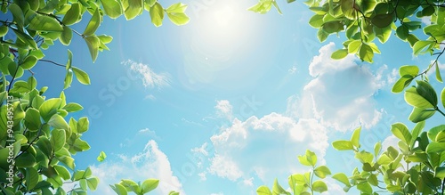 Obraz na płótnie A serene nature scene with lush green foliage set against a vivid blue sky offering ample copy space for text in this picturesque landscape image w salonie