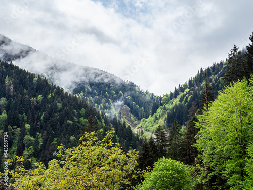 overgrown mountains near Sumela monastery, Turkey photo