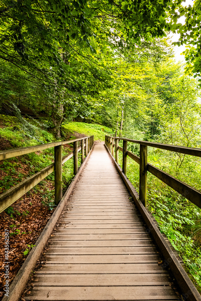 Wooden Pathway in a Green Pyrenees Forest Wooden Pathway in a Green Pyrenees Forest