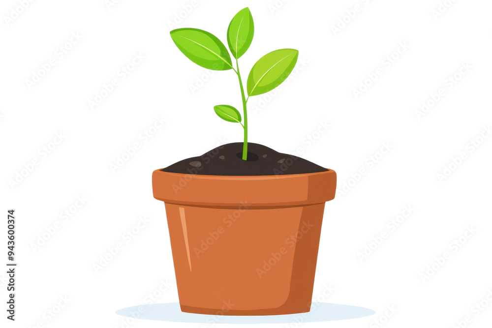 A fresh green plant emerges from a terracotta pot, symbolizing growth and nature's beauty in a cozy indoor setting. Isolated on transparent background. A fresh green plant emerges from a terracotta pot, symbolizing growth and nature's beauty in a cozy indoor setting. Isolated on transparent background.