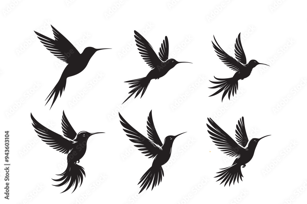 Hummingbird silhouette vector illustration Hummingbird silhouette vector illustration