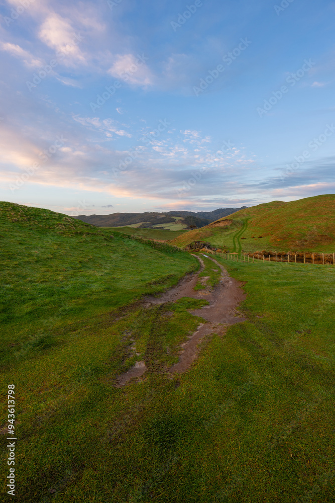 Fototapeta premium Scenic green field with beautiful sky.