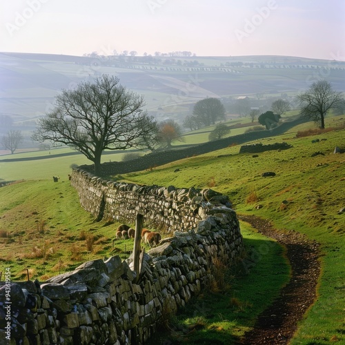 View of dry stone walls and Brassington, Derbyshire Dales, Derbyshire, England, United Kingdom  photo