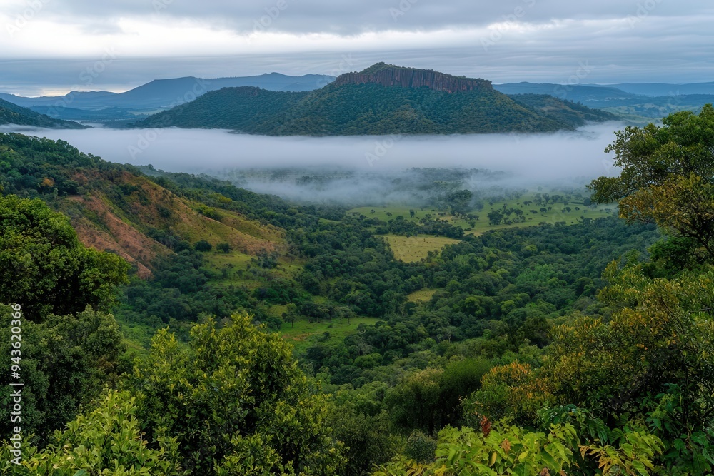 Dense fog covering the landscape, reducing visibility and creating a misty atmosphere, weather conditions, foggy and low visibility Dense fog covering the landscape, reducing visibility and creating a misty atmosphere, weather conditions, foggy and low visibility