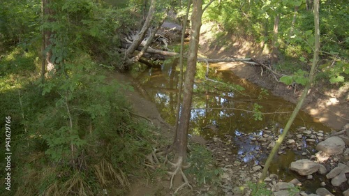 Creek next to Brian Brown Greenway trail in Martin, Tennessee, U.S. photo