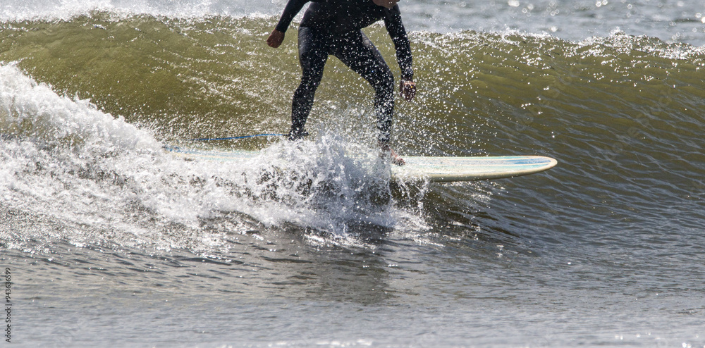 Fototapeta premium Side view of a surfer surfing on a wave off the coast of Long Islnad.