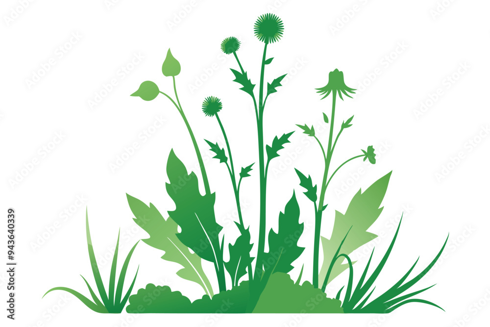 Weeds on white background M.eps Weeds on white background M.eps