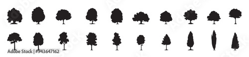 Set of Tree Vector. Vector illustration.