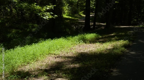 Forest Of Parkers Cross Roads Civil War Battlefield  photo