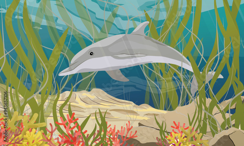 Common bottlenose dolphin swims near the sea bottom with corals and algae. Realistic vector underwater landscape