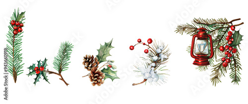 Set of pine cones with holly and evergreen branches on a transparent background, for Christmas and winter-themed designs