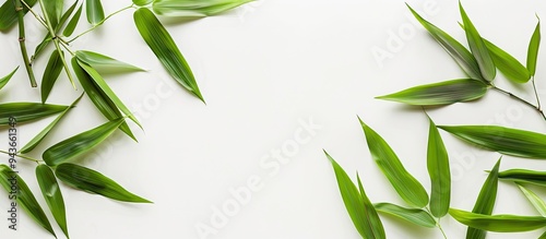 Bamboo leaves set against a...