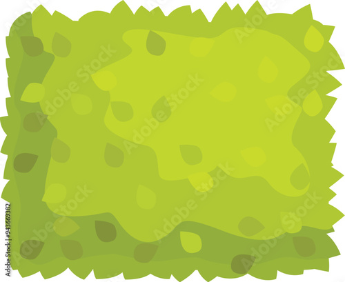 Green bush with leaves growing on it, seen from above