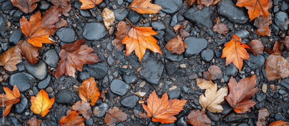 Fototapeta premium Fallen leaves on the gravel of the riverbank viewed from directly above full frame image. with copy space image. Place for adding text or design