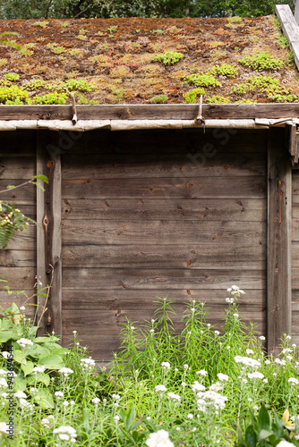 Grünes Moos auf dem Dach einer alten Scheune in Skandinavien. Traditionell bemoostes Dach. Green moss on the roof of an old barn in Scandinavia. Traditional moss-covered roof.