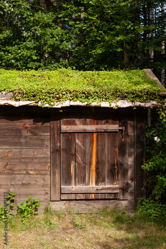 Grünes Moos auf dem Dach einer alten Scheune in Skandinavien. Traditionell bemoostes Dach. Green moss on the roof of an old barn in Scandinavia. Traditional moss-covered roof. photo