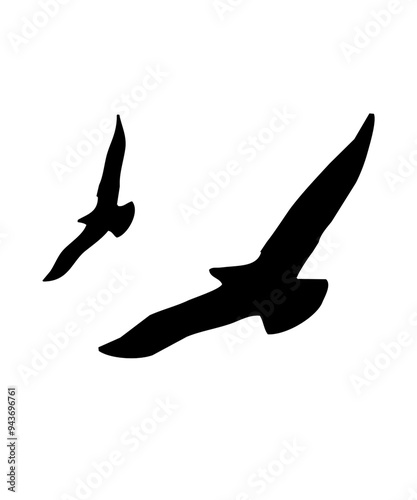 black silhouette illustrations of two flying birds isolated on white