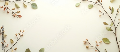 Flat lay arrangement featur...
