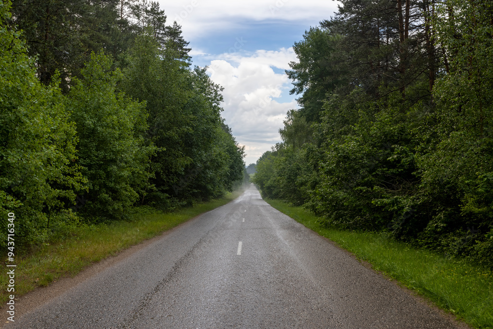 Fototapeta premium Wet rain field paved road in the forest