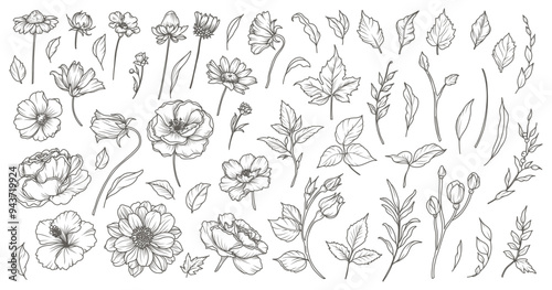 Set of hand drawn flowers, branches and leaves in line art style. Collection of sketches of botanical elements. Vector illustration for tattoo, wedding invitation, wallpaper, save the date card, logo