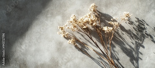 Dried field flowers casting...