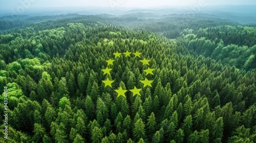 European Union Flag in Forest Aerial View Green Nature Sustainability