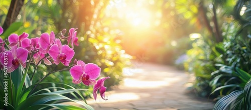 Orchids in a park within a ...
