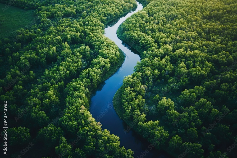 Aerial view of a winding river through lush forest. Aerial view of a winding river through lush forest.