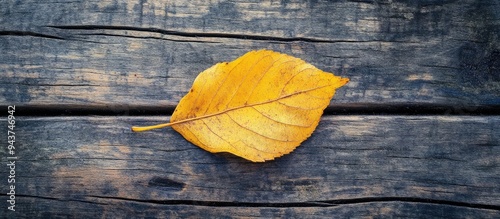 A lovely yellow autumn leaf...